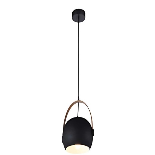 Indoor-007 hanging light