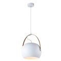 Indoor-008 hanging light