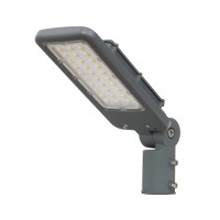 Rotatable ielu lampa 50W DW