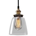 Indoor-161 hanging light