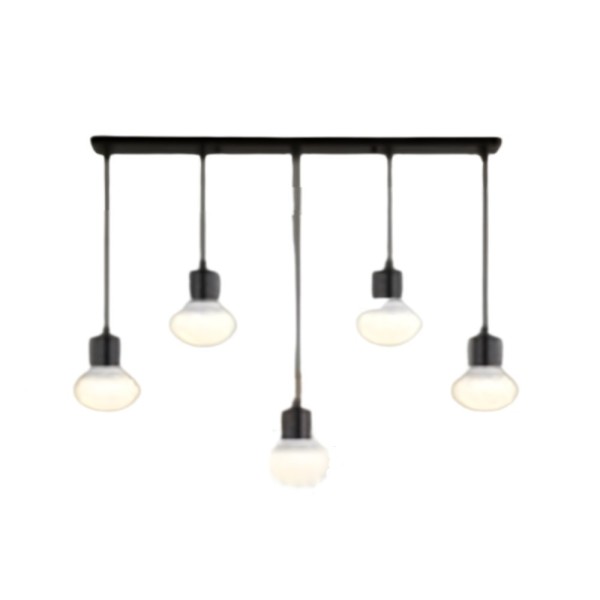 Indoor-129 hanging light