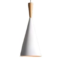 Indoor-107 hanging light