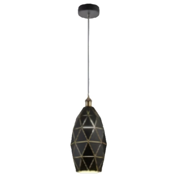 Indoor-100 hanging light