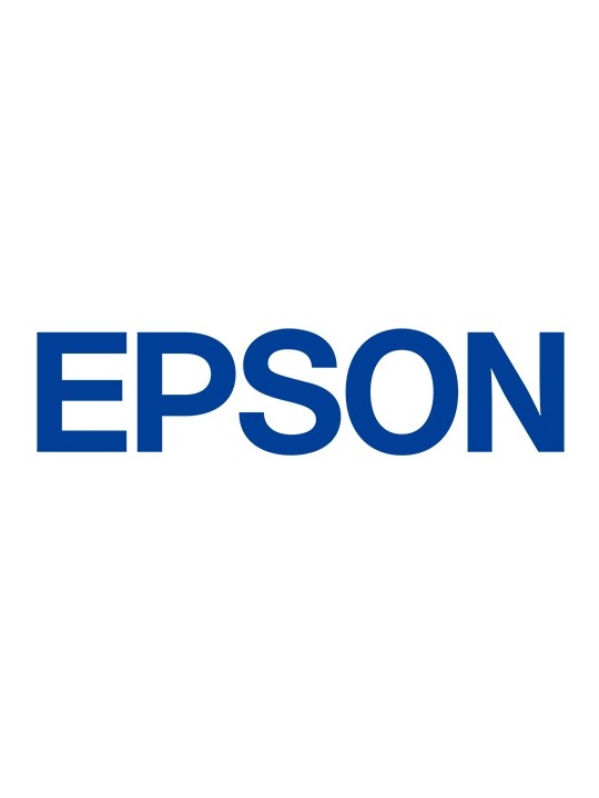 Epson Maintenance Box WF-C20590 (C13T671300)