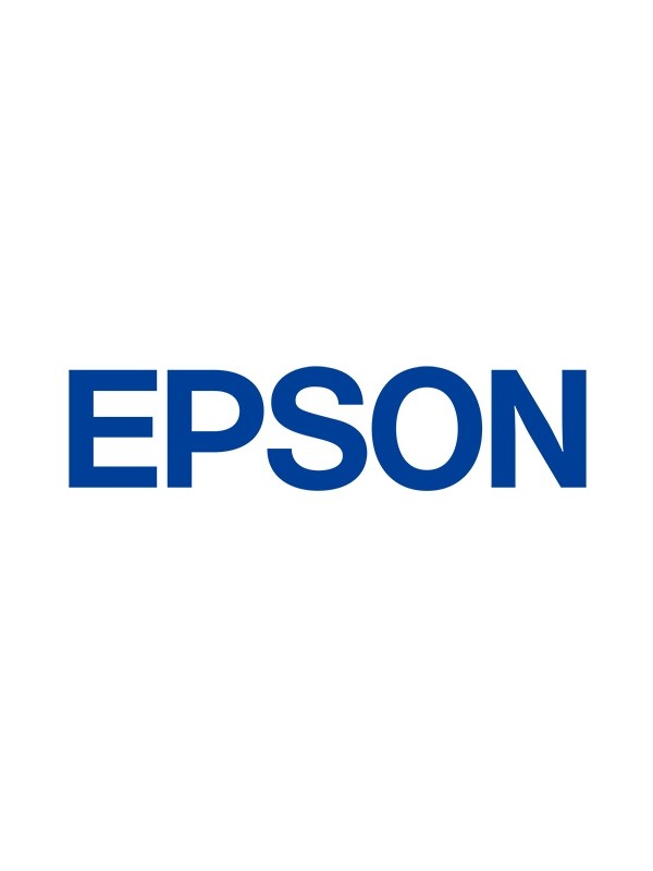 Epson Maintenance Box WF-C20590 (C13T671300)