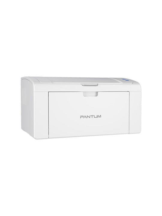 Pantum P2509W Printer laser monochrome