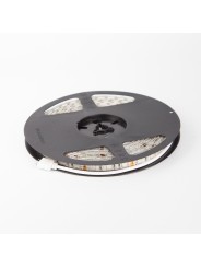 LED strip 24V 12W RGB IP65