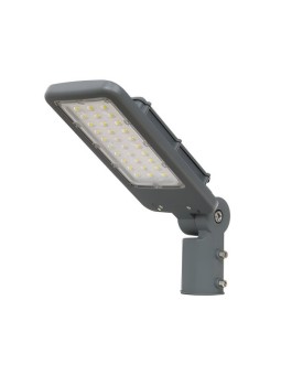 Rotatable street light 50W DW