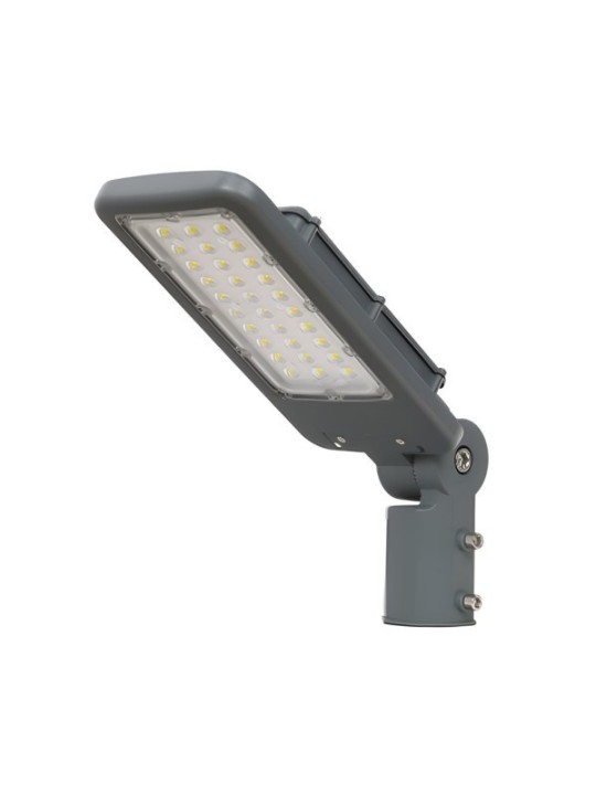 Rotatable tänavavalgusti 50W DW