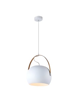 Indoor-008 hanging light