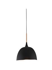 Indoor-009 hanging light