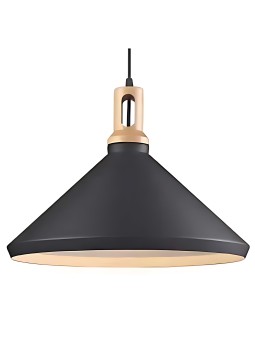 Indoor-011 hanging light