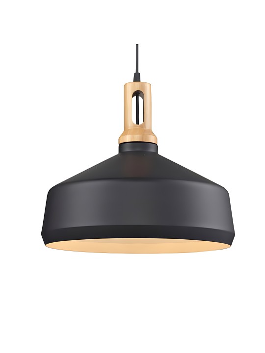 Indoor-012 hanging light