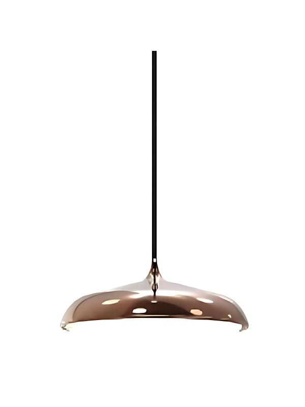 Indoor-019 hanging light Indoor-019 hanging light