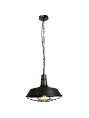copy of Indoor-024 hanging light