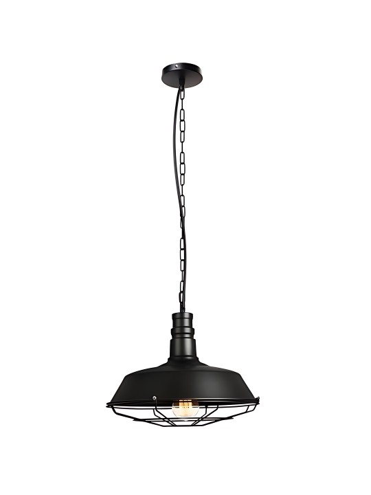 copy of Indoor-024 hanging light
