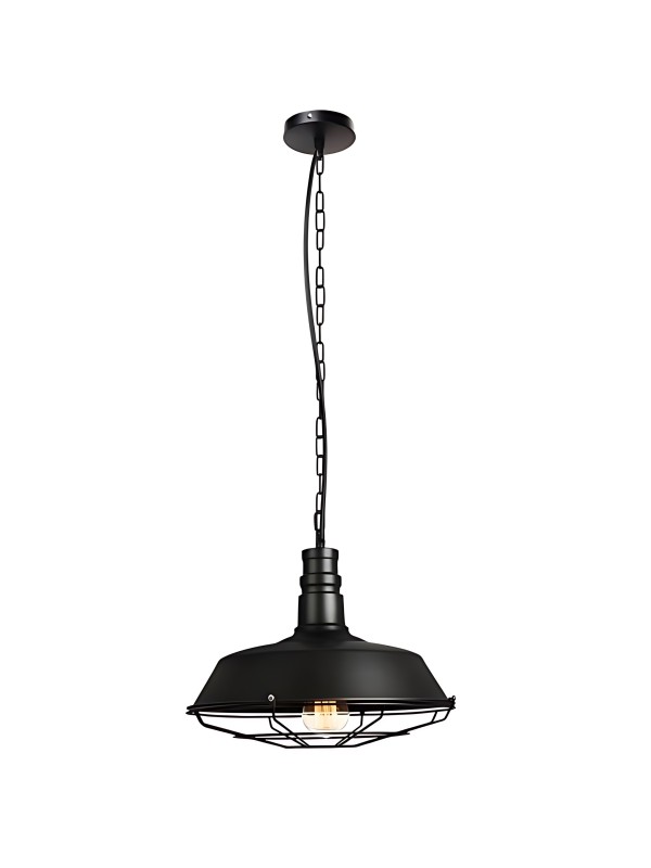 copy of Indoor-024 hanging light copy of Indoor-024 hanging light