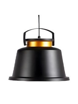 Indoor-028 riippuvalaisin