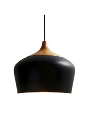 copy of Indoor-032 hanging light