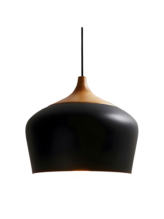 copy of Indoor-032 hanging light