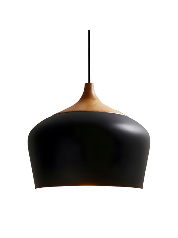 copy of Indoor-032 hanging light copy of Indoor-032 hanging light