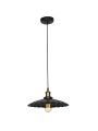 copy of Indoor-035 hanging light