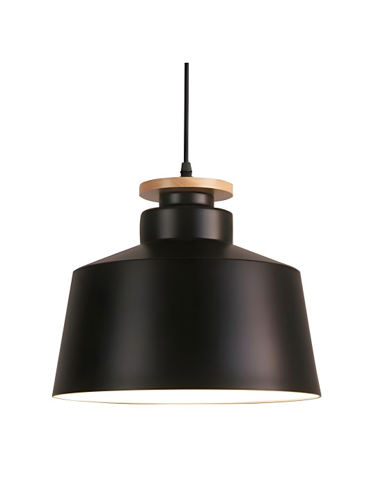 copy of Indoor-036 hanging light