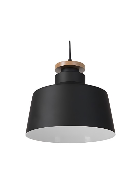 copy of Indoor-037 hanging light