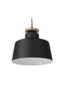copy of Indoor-037 hanging light
