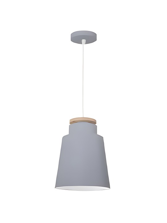 copy of Indoor-038 hanging light