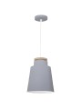 copy of Indoor-038 hanging light
