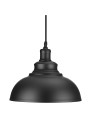 copy of Indoor-041 hanging light