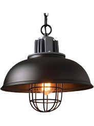 copy of Indoor-042 hanging light