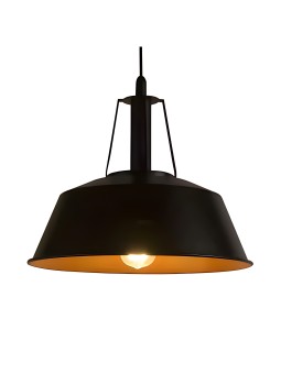 Indoor-044 hanging light