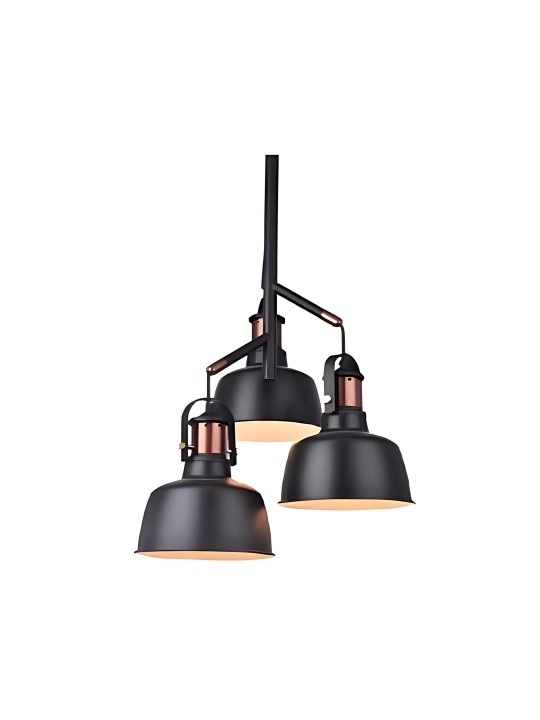 copy of Indoor-048 hanging light