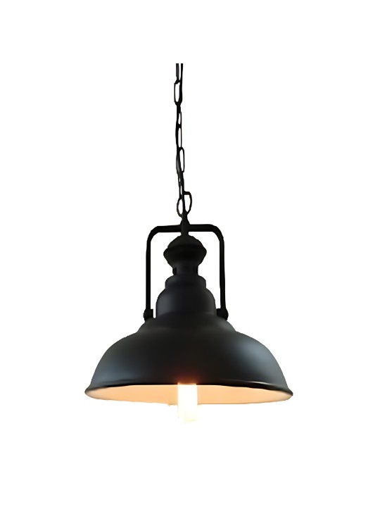 copy of Indoor-056 hanging light