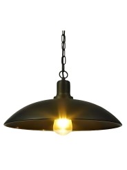 copy of Indoor-060 hanging light