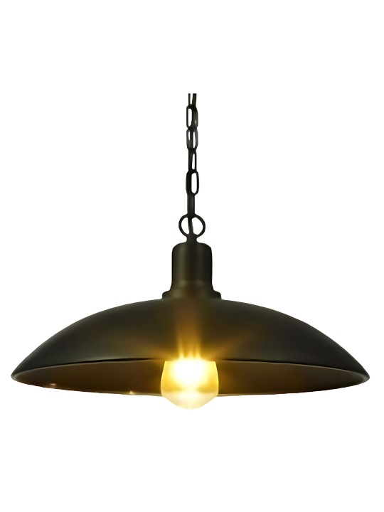 copy of Indoor-060 hanging light