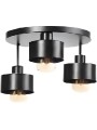copy of Indoor-157 hanging light