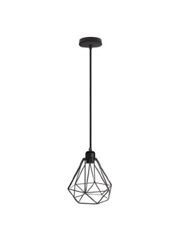 Indoor-137 hanging light