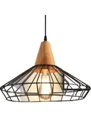 copy of Indoor-110 hanging light