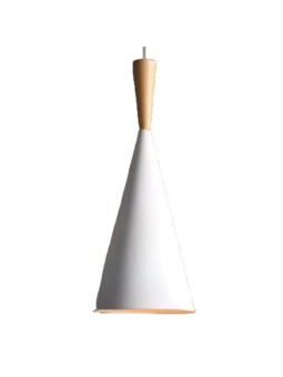 Indoor-107 hanging light