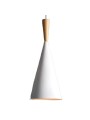copy of Indoor-107 hanging light