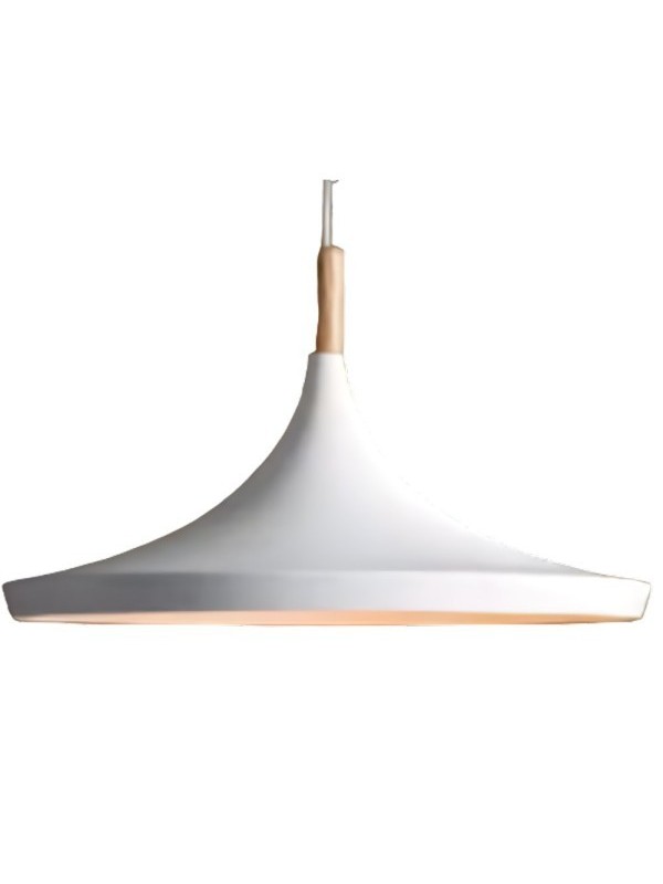 copy of Indoor-105 hanging light copy of Indoor-105 hanging light