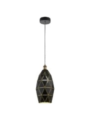 copy of Indoor-100 hanging light