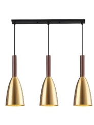 copy of Indoor-081 hanging light