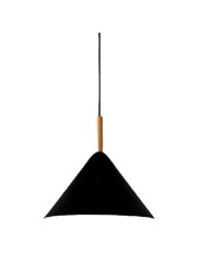 copy of Indoor-074 hanging light