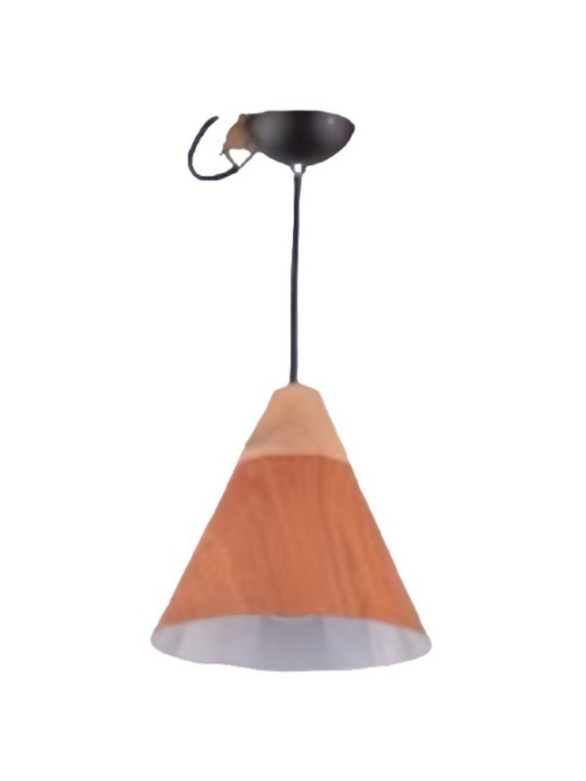 copy of Indoor-070 hanging light