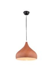 copy of Indoor-069 hanging light