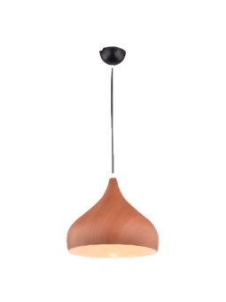 Indoor-069 hanging light